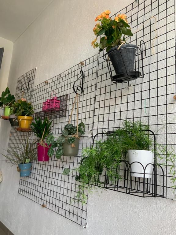 Casa Mia - Habitación Doble Con Terraza