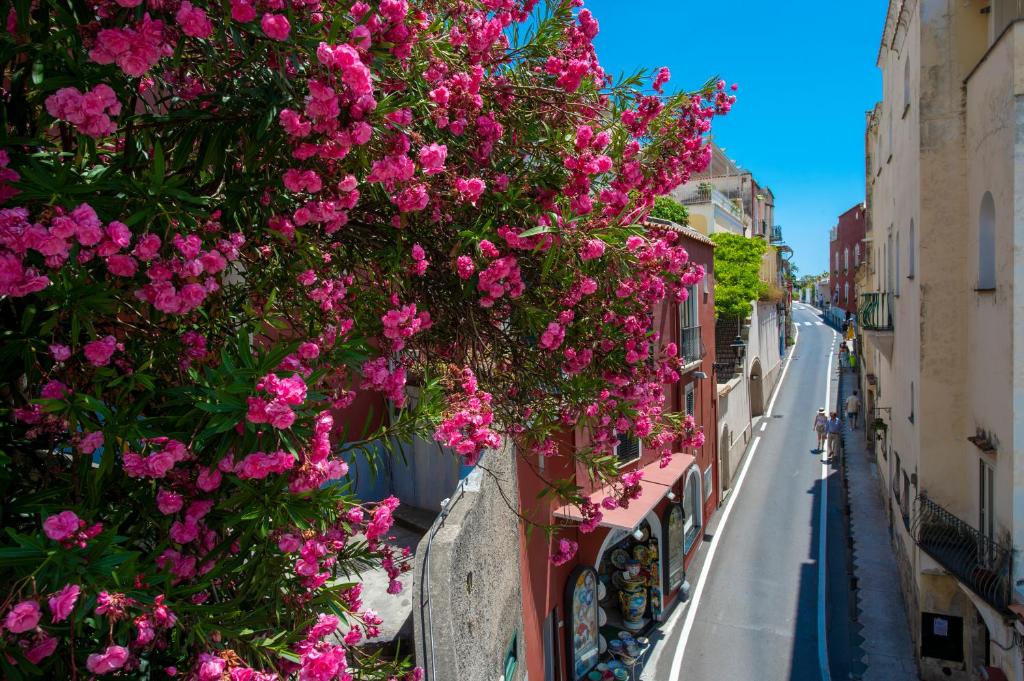a bunch of pink flowers on the side of a building at Villa Dalu in Positano