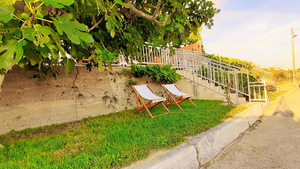 Zahrada ubytování Mediterranean House - Forest Marjan