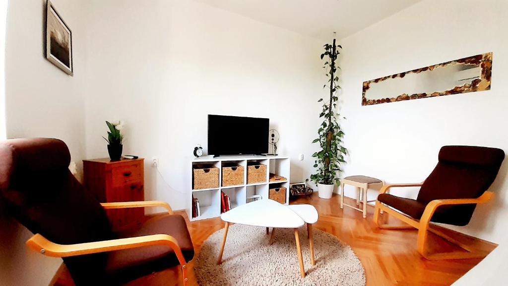 TV a/nebo společenská místnost v ubytování Mediterranean House - Forest Marjan