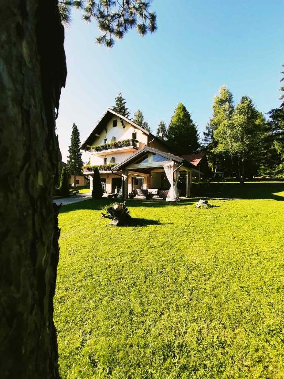 una casa in un campo di erba verde di Guest House Colovic a Zlatibor
