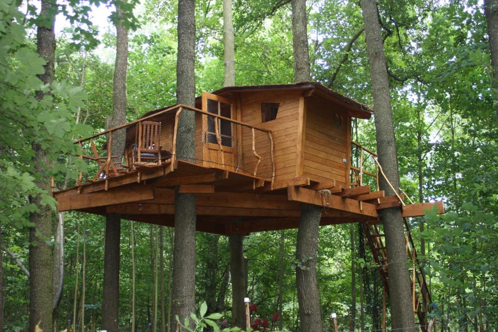 a tree house in the middle of the forest at Treehouse v Brdech in Bohutín