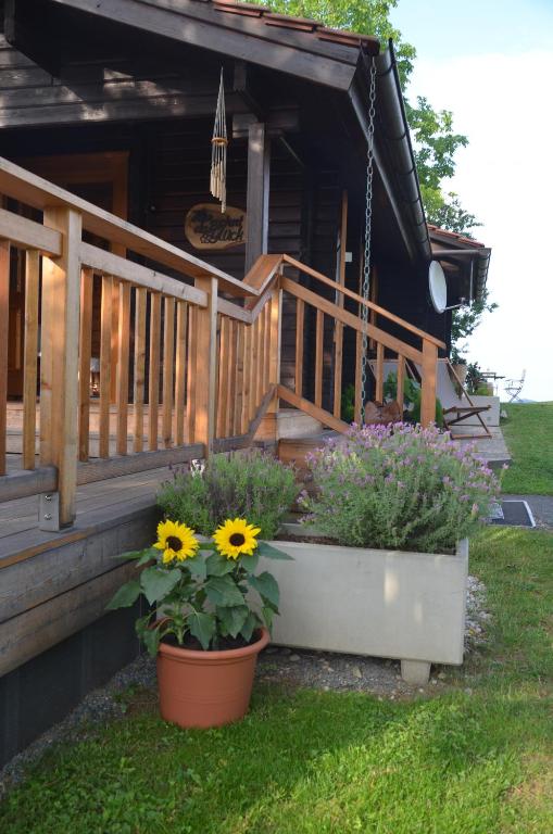 Zahrada ubytování Ferienhaus Andrea