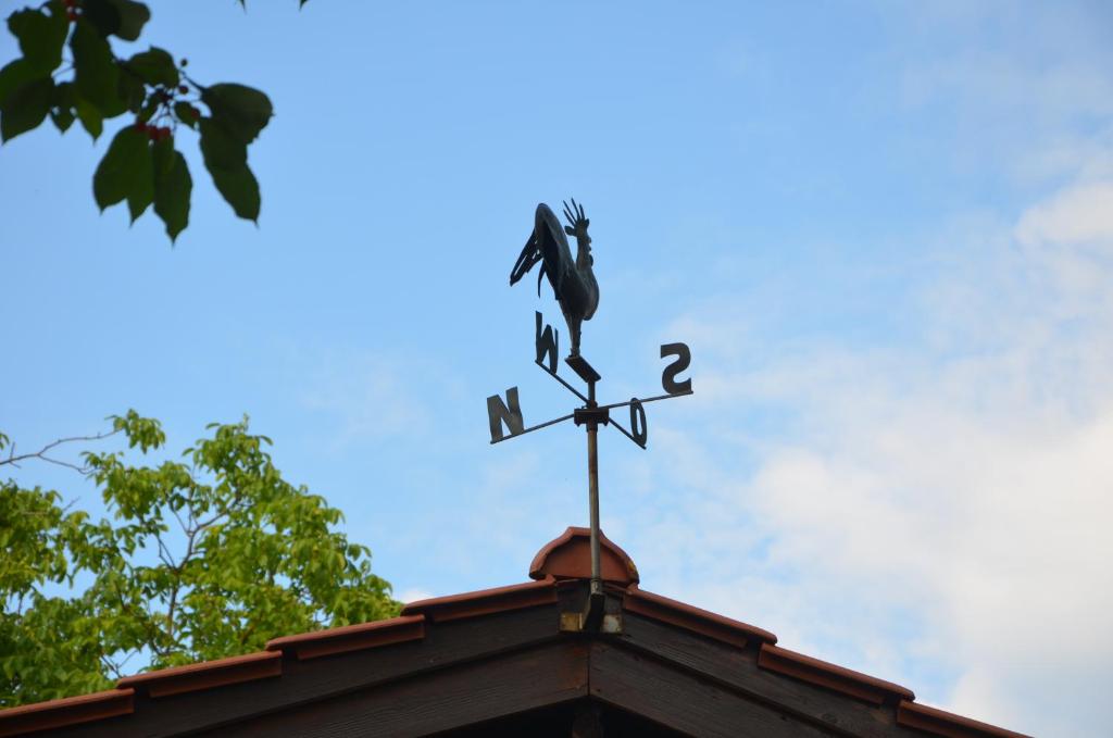 Fotografie z fotogalerie ubytování Ferienhaus Andrea v destinaci Sankt Johann im Saggautal