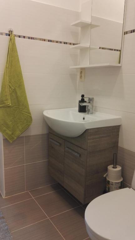 Koupelna v ubytování Apartmány Opolany