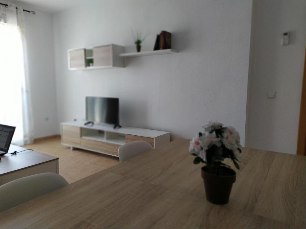 TV a/nebo společenská místnost v ubytování Apartamentos "EL BARCO"