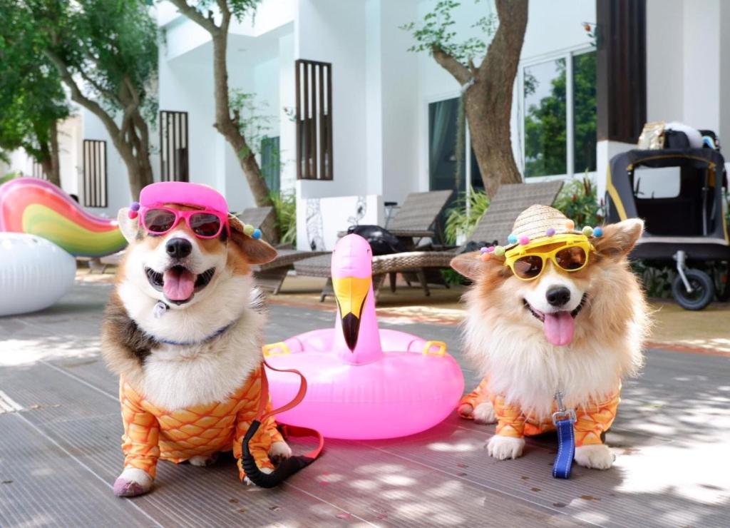 Hill Fresco Hotel - Resim 40