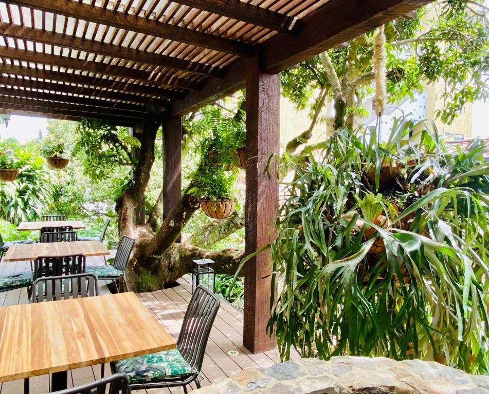 Zahrada ubytování Patio del Mundo