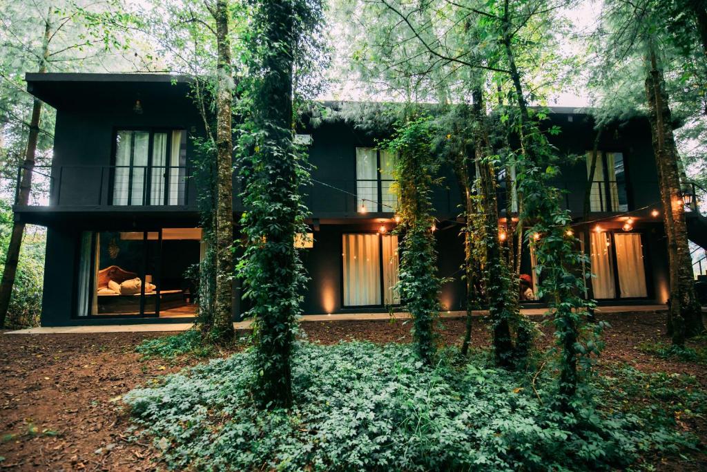 バジェ・デ・ブラボにあるBoscoso Hotel Boutiqueの木々のある森の中の家