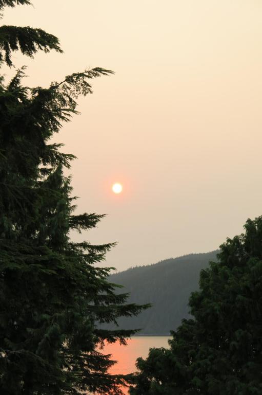 a sun setting over a body of water with trees at A Shack In The Woods in Port Renfrew