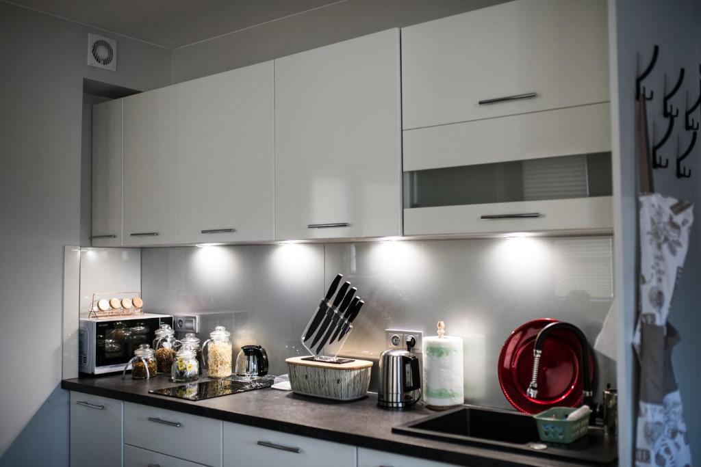 Kuchyňa alebo kuchynka v ubytovaní Apartamenty Królewskie