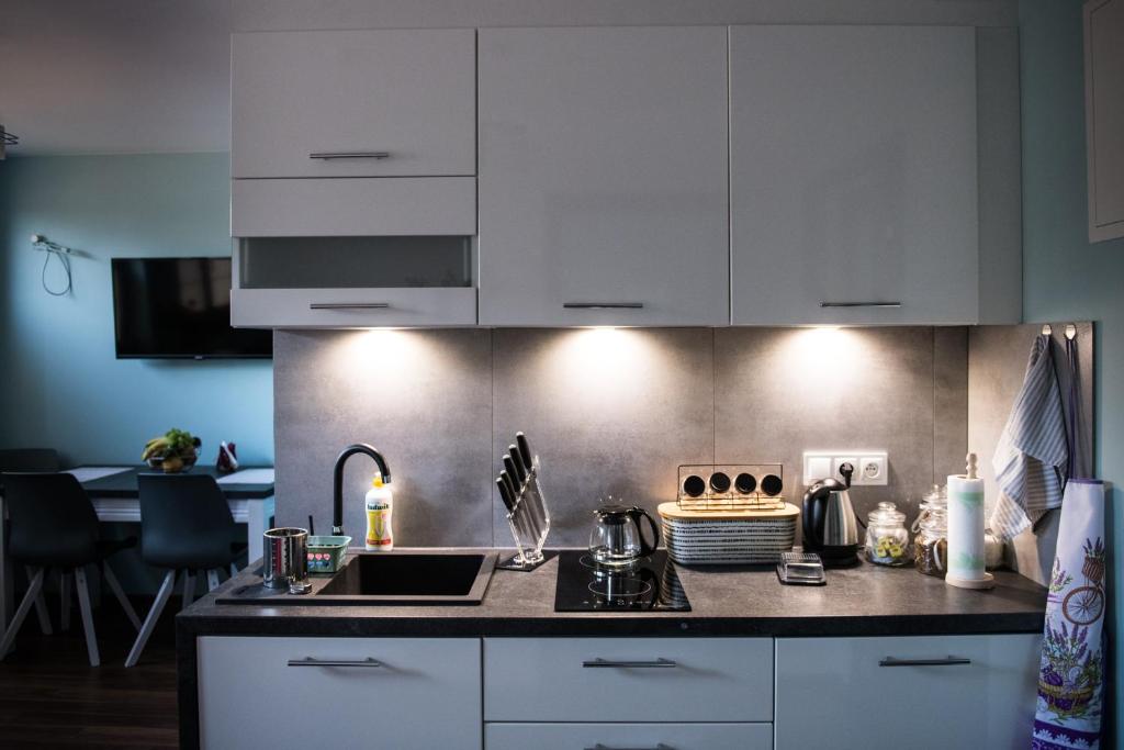 Kuchyňa alebo kuchynka v ubytovaní Apartamenty Królewskie