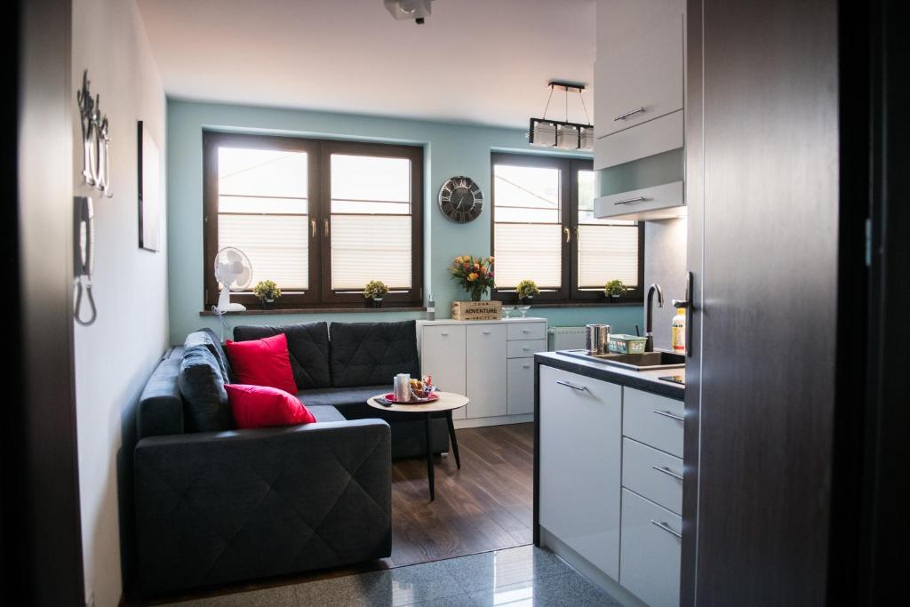 Kuchyňa alebo kuchynka v ubytovaní Apartamenty Królewskie