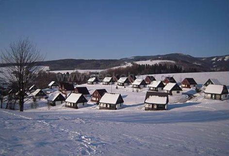 vila krkonoše v zimě