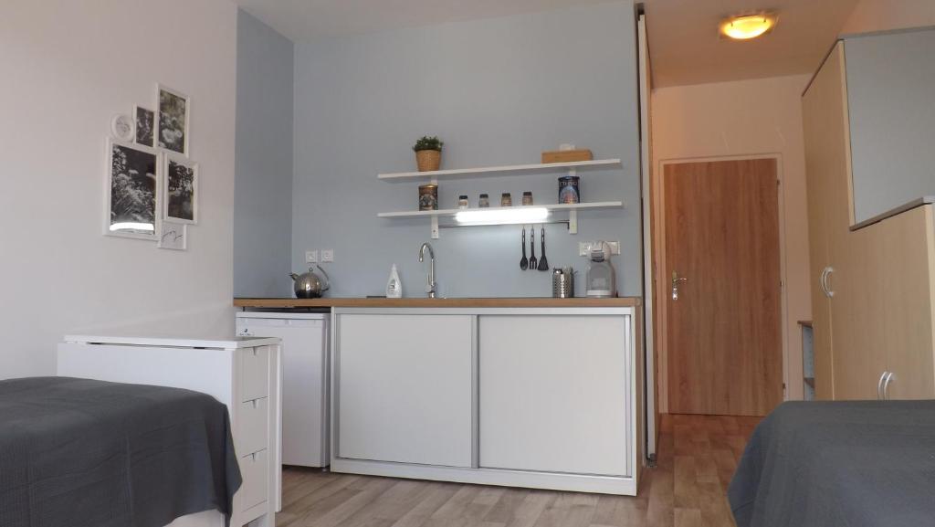 eine Küche mit weißen Schränken und einem Waschbecken im Zimmer in der Unterkunft Apartmán Pernink in Pernink