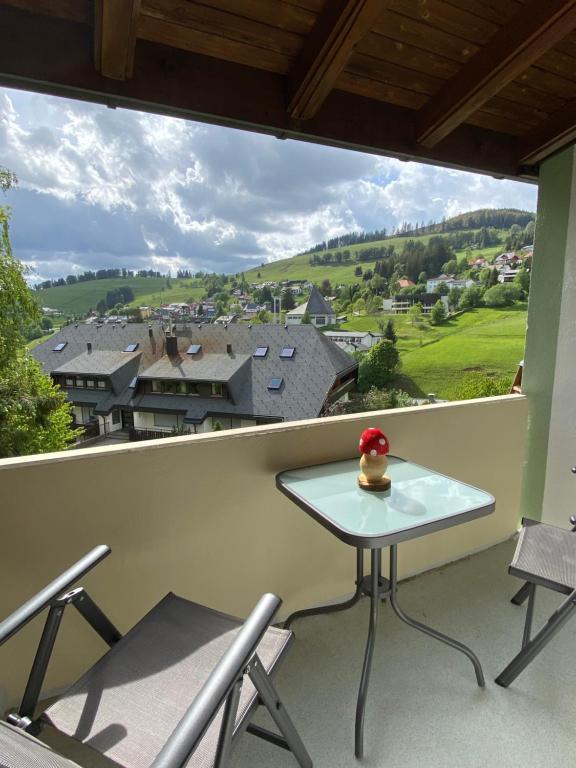 Příroda nedaleko apartmánu
