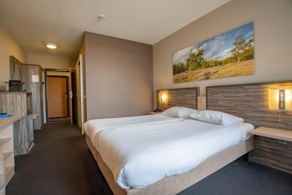 Fletcher Wellness-Hotel Trivium - Comfort Double Room