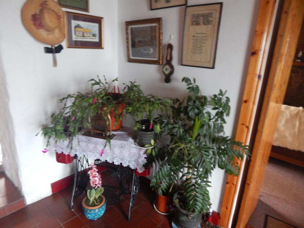 Foto dalla galleria di The Olde Castle B&B a Renvyle