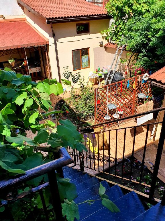Zahrada ubytování Casa Matilda