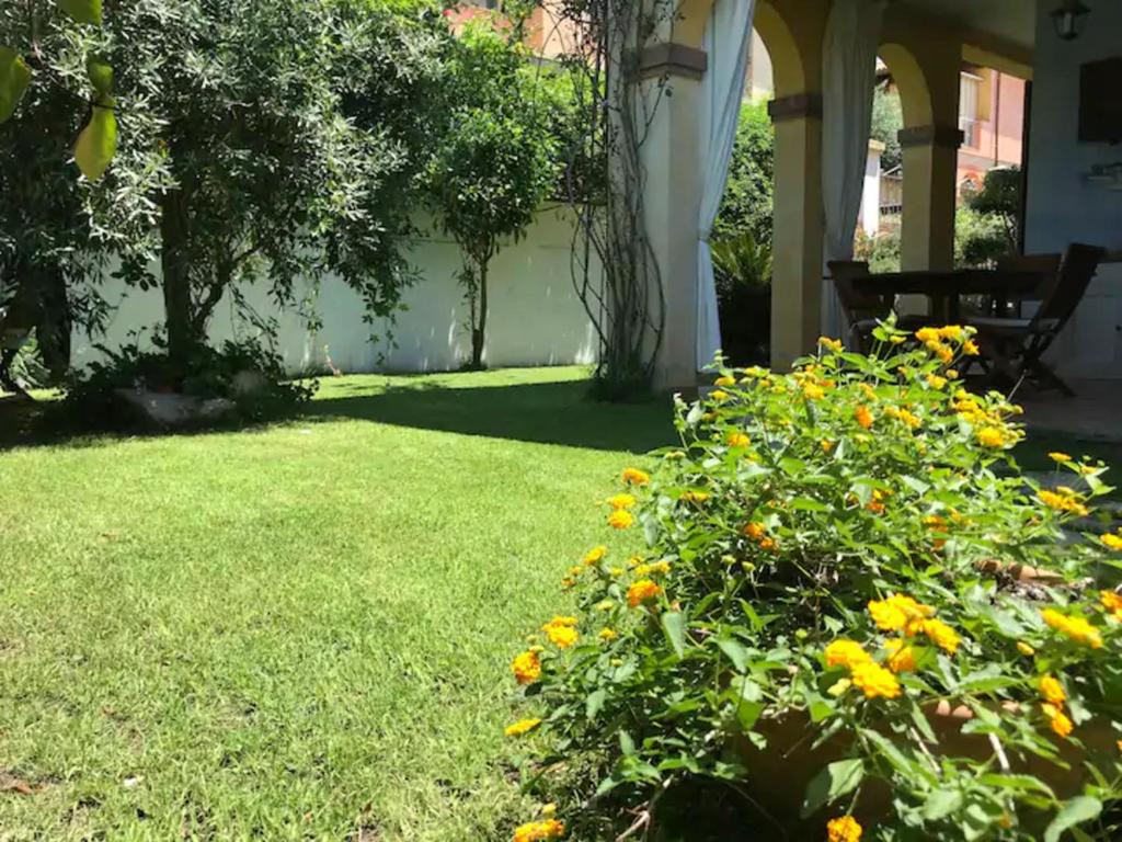 A garden outside Junco