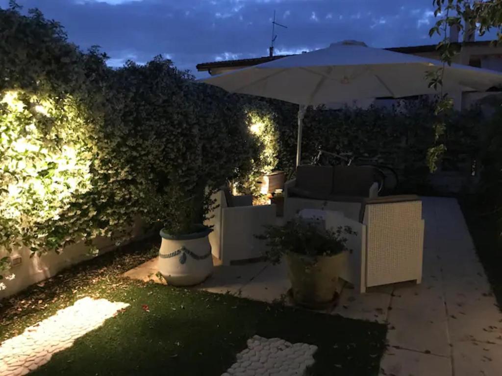 A garden outside Junco