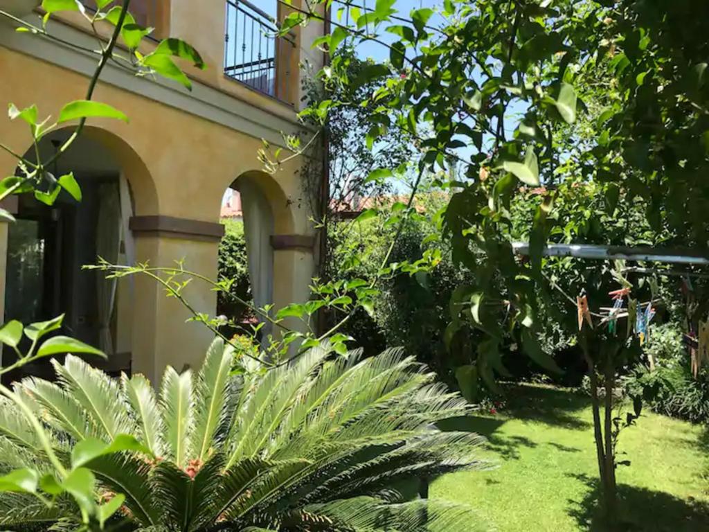 A garden outside Junco