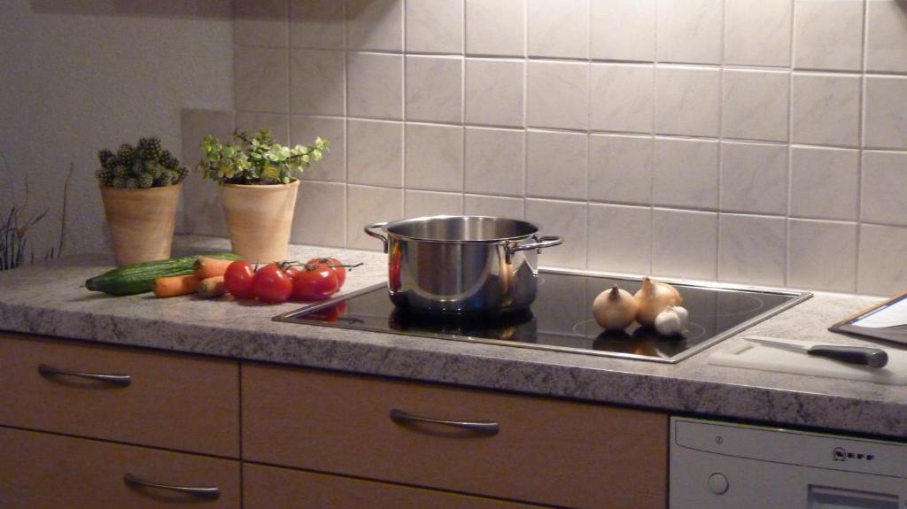 Kuchyňa alebo kuchynka v ubytovaní Apart Benita