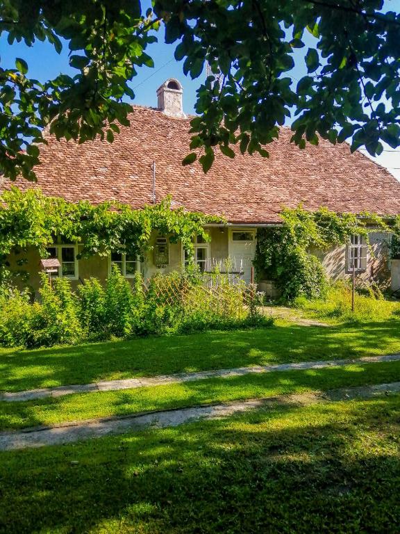 Zahrada ubytování Gästehaus Fogarasch