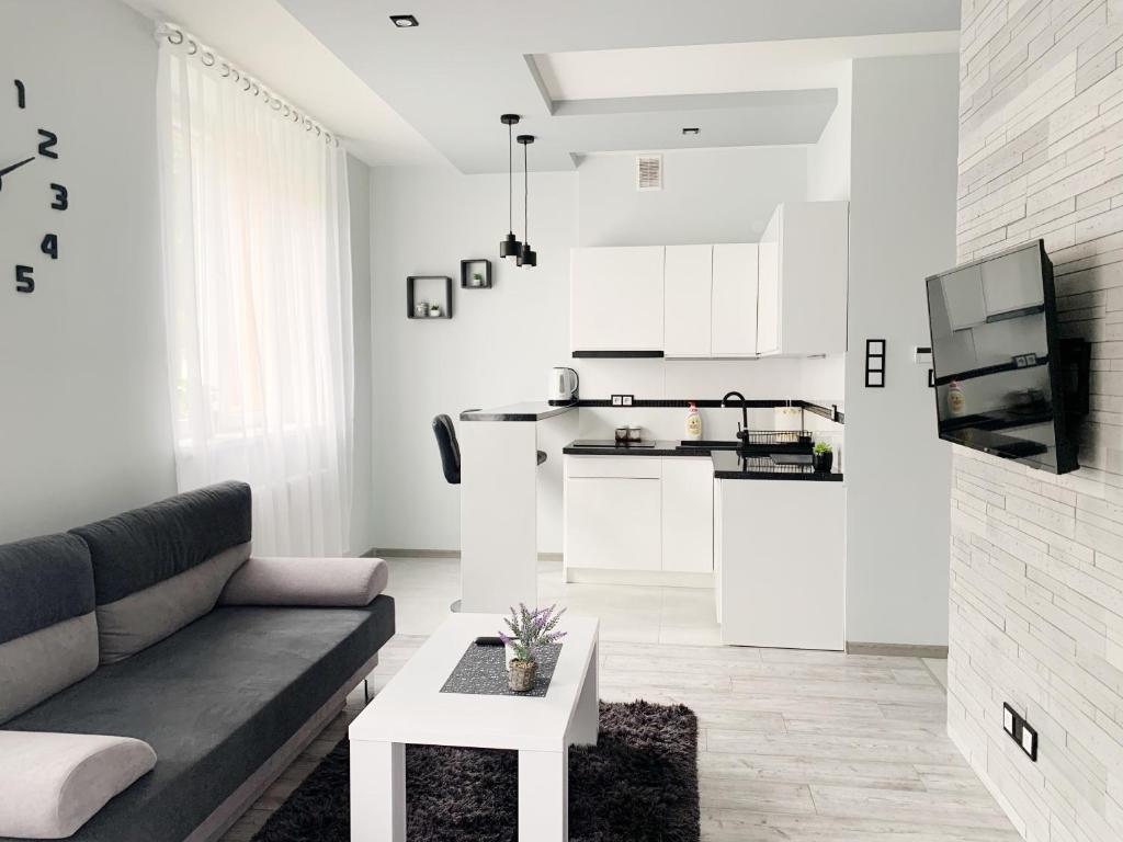 萬楚特的住宿－Apartament Chyba Śnisz Łańcut，带沙发的客厅和厨房