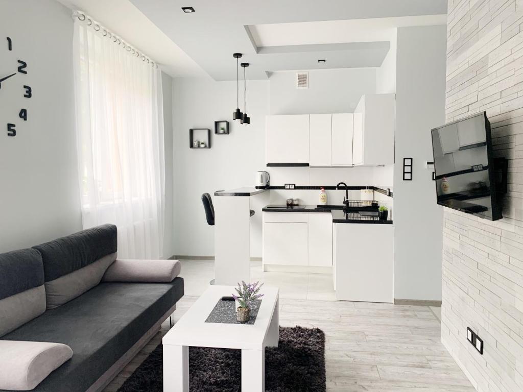 Μια τηλεόραση ή/και κέντρο ψυχαγωγίας στο Apartament Chyba Śnisz Łańcut
