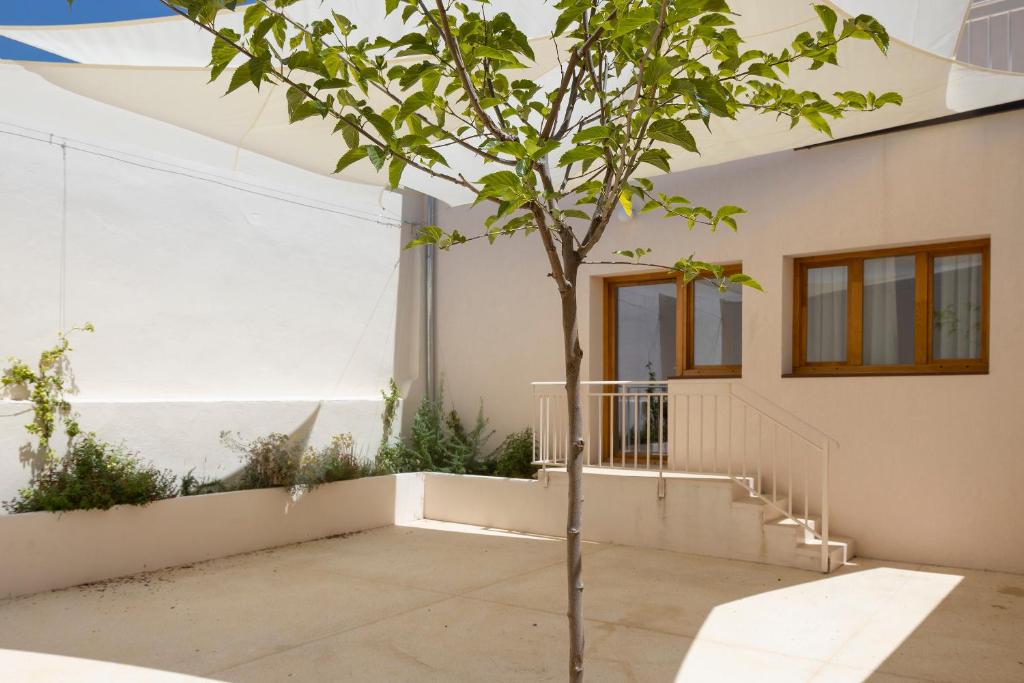 un árbol en el patio de una casa en Apartamento Imón en ElMolinoDeLaSal de Sigüenza, en Sigüenza