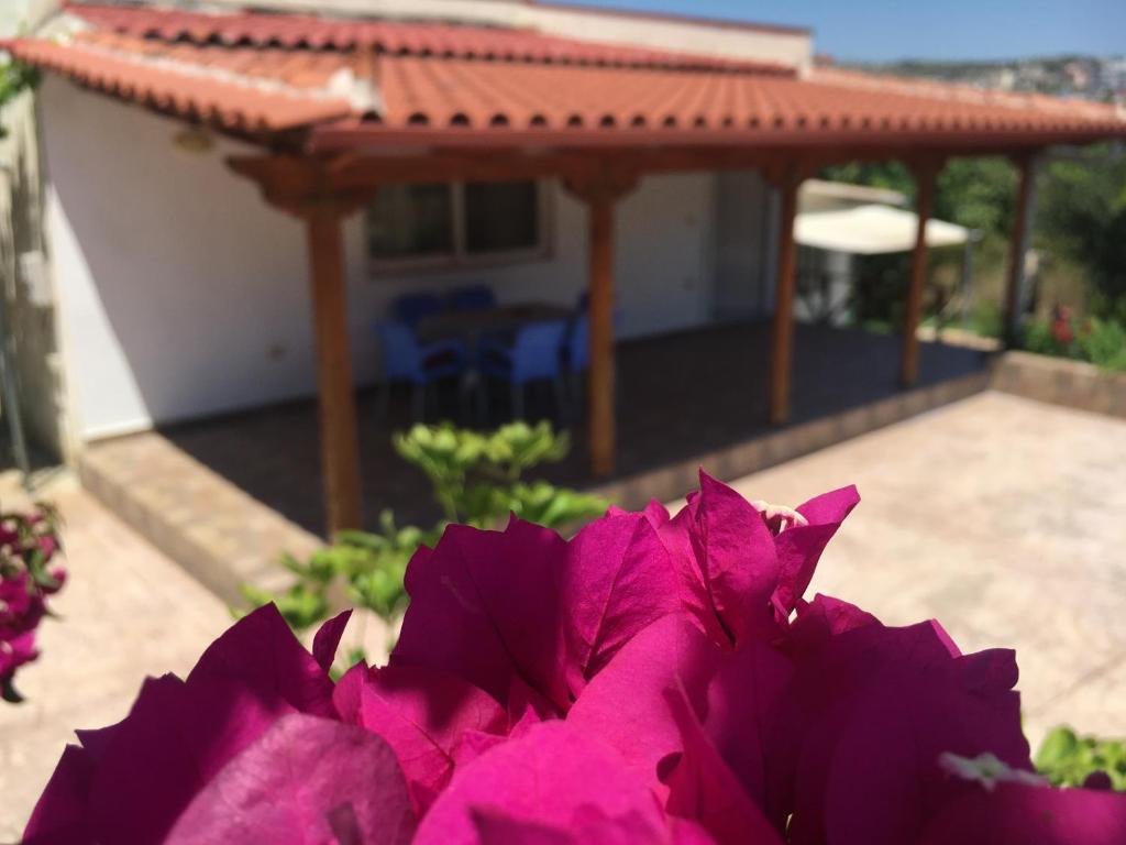 Guesthouse Nedin