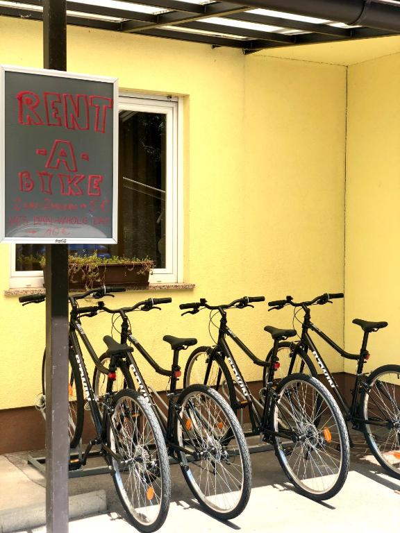 Jízda na kole v ubytování Hotel Medno nebo okolí