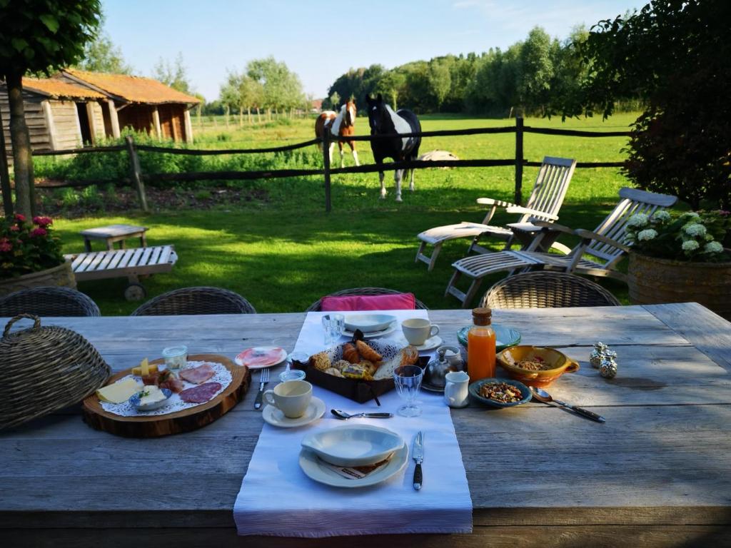 una mesa de picnic con comida y un caballo en un campo en Casa Leone near Bruges with jacuzzi & parking en Ruddervoorde