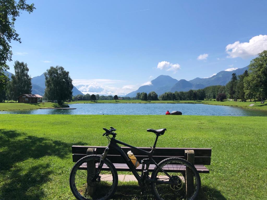 Wolfˋs Apartment - 5