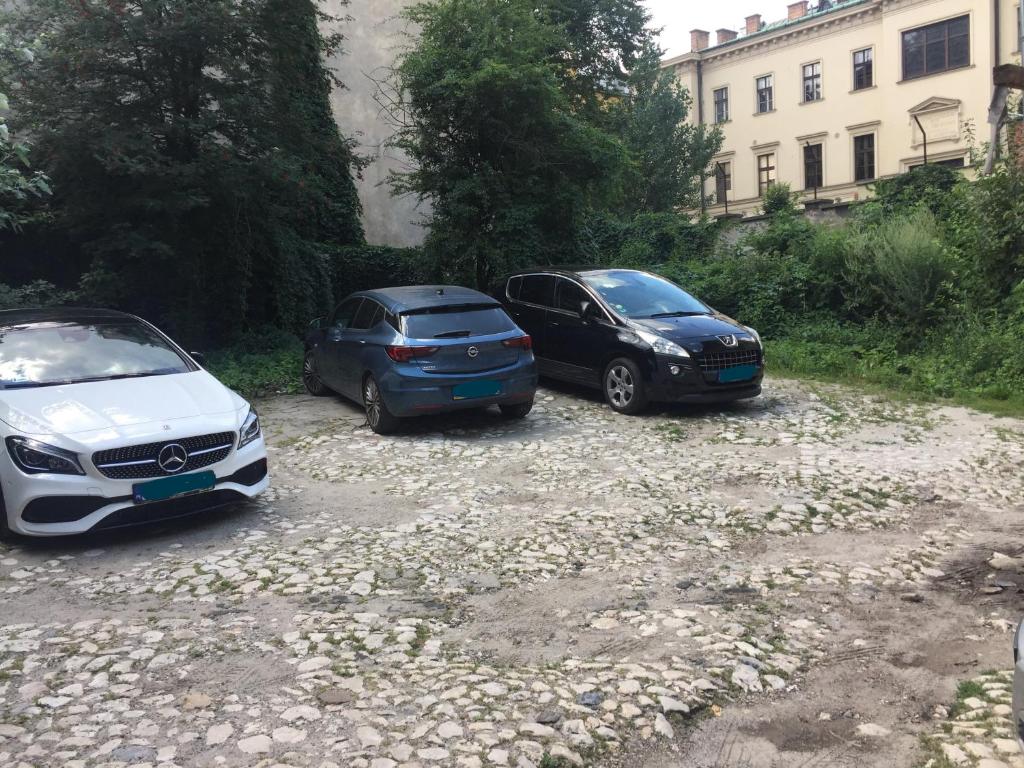 Pałac Zieleniewskich Apartamenty św Marka 31 - 14