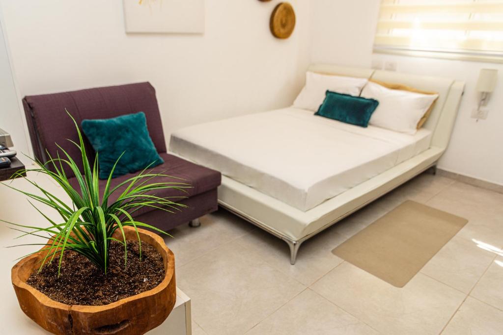 uma sala de estar com um sofá e uma planta em סטודיו 10 studio em Eilat