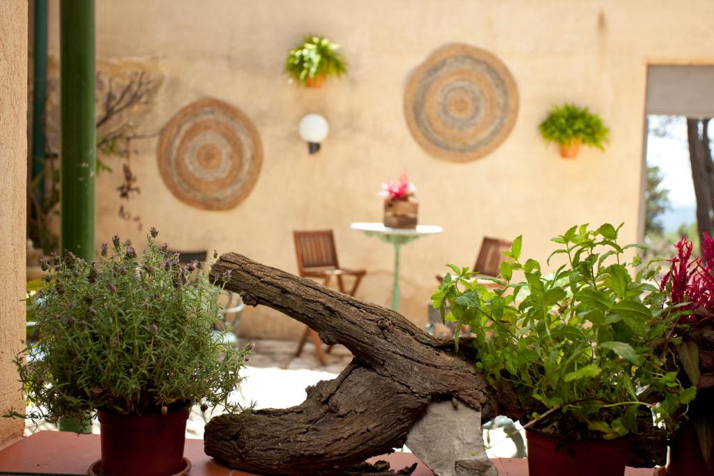 Hotel Boutique Carrasqueta Alicante-Xixona, Jijona ...