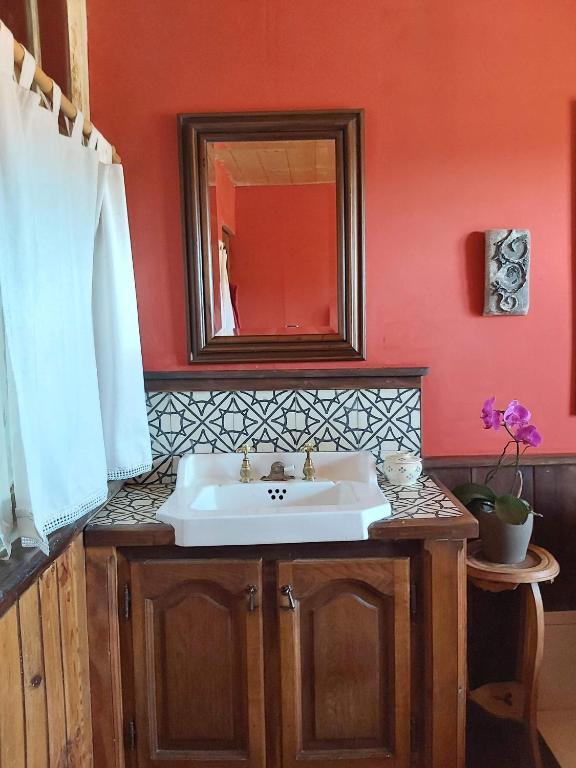 a bathroom with a sink and a mirror at La chambre d&#39;hôte du Petit Mazilloux in Présailles