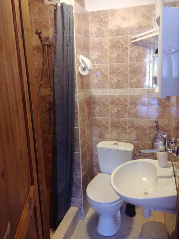 a bathroom with a toilet and a sink at Willa Czyrna przy Gondoli in Szczyrk