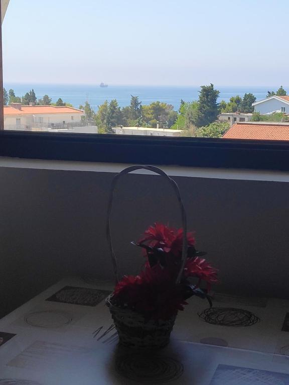 Ein allgemeiner Meerblick oder ein Meerblick von der Ferienwohnung aus