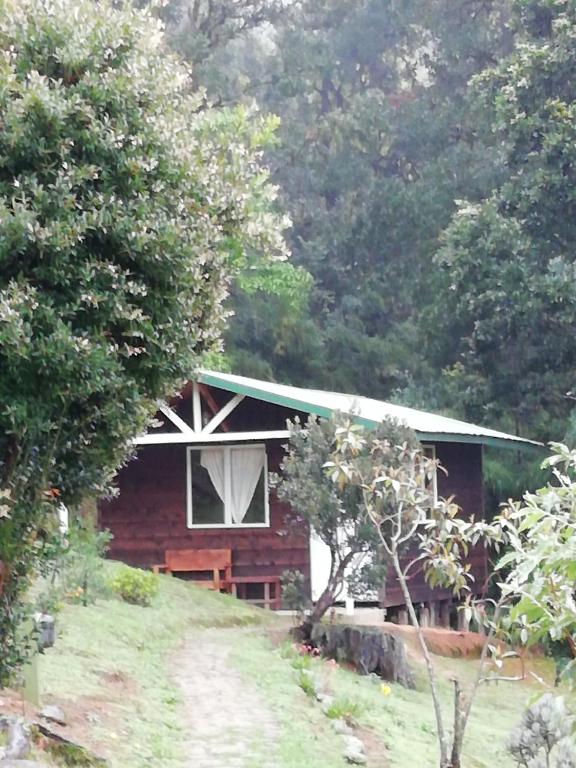 Zahrada ubytování Miriam'S Quetzals lodge