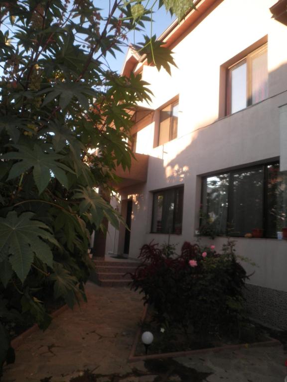 a house with a tree in front of it at Casa Didina in Năvodari