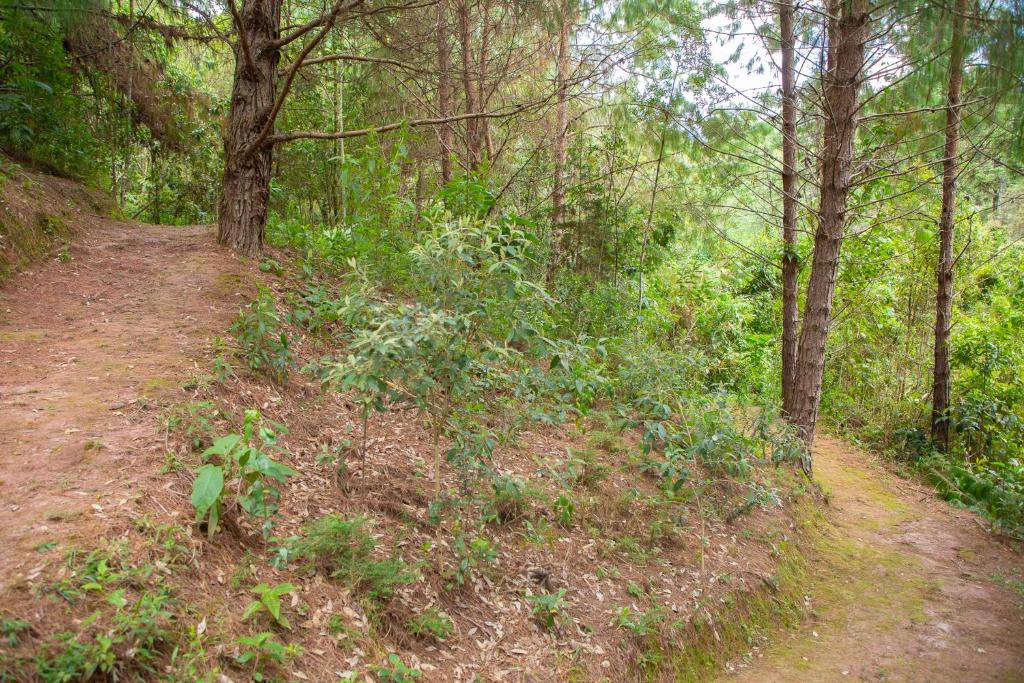  Apartamento no Capivari em Campos do jordão