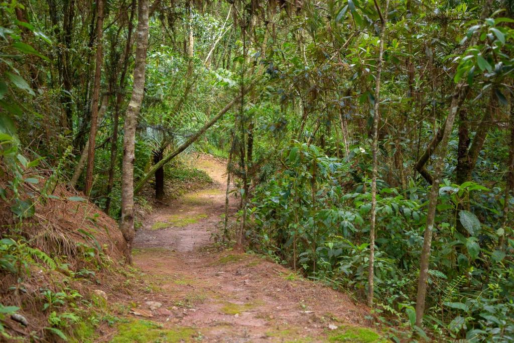 Apartamento no Capivari em Campos do jordão