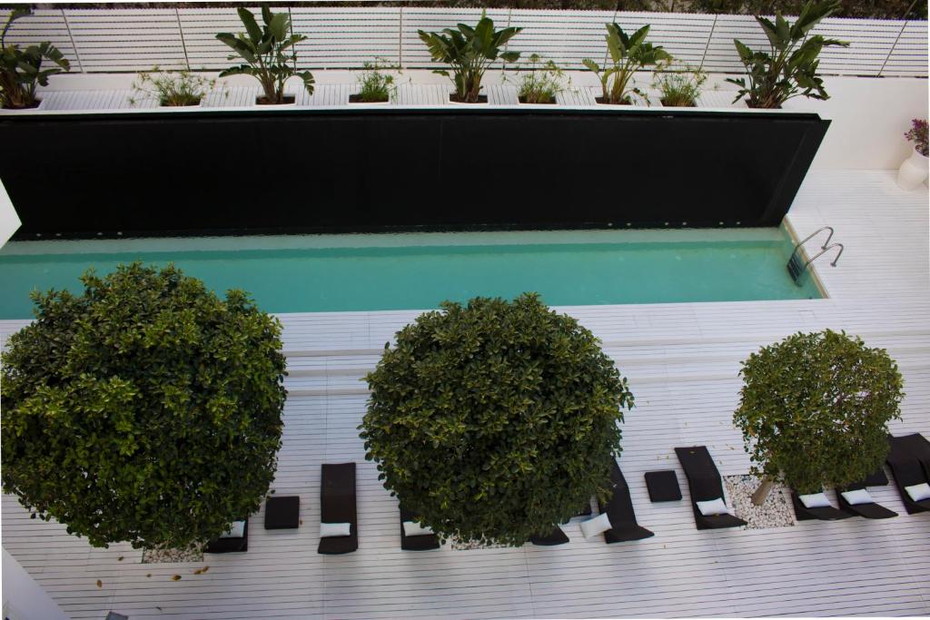 Bazén v ubytování White Hotel nebo v jeho okolí