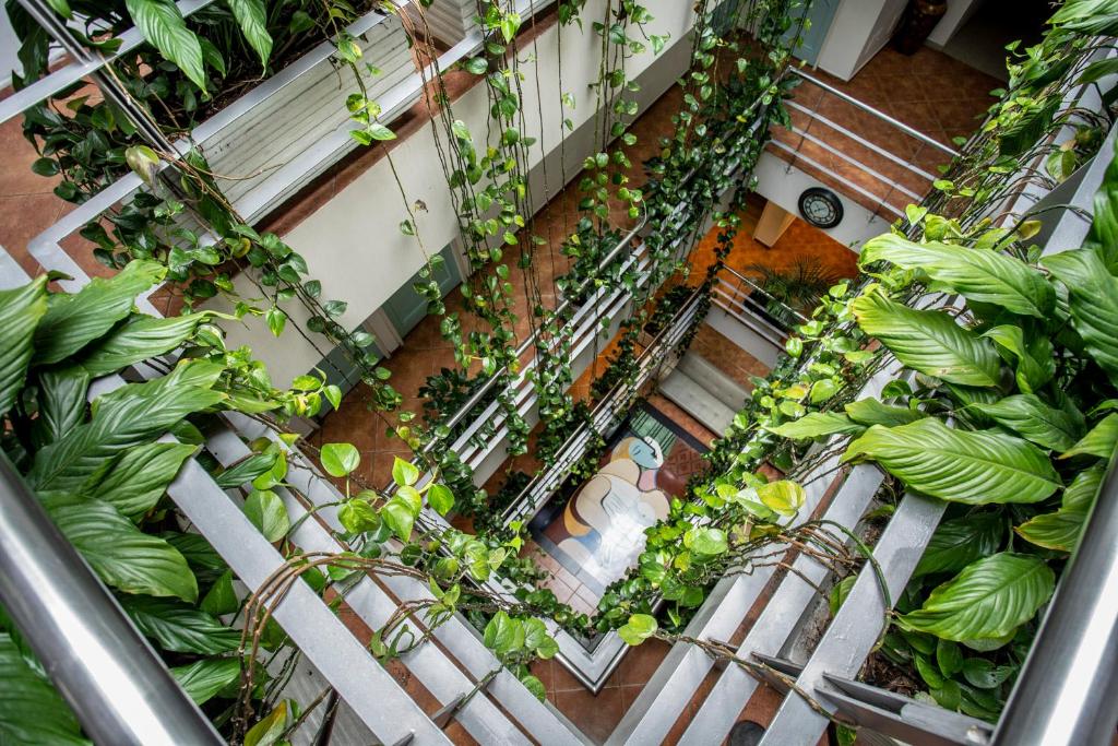 an overhead view of a greenhouse filled with plants at Hotel Picasso Inn in Bogotá