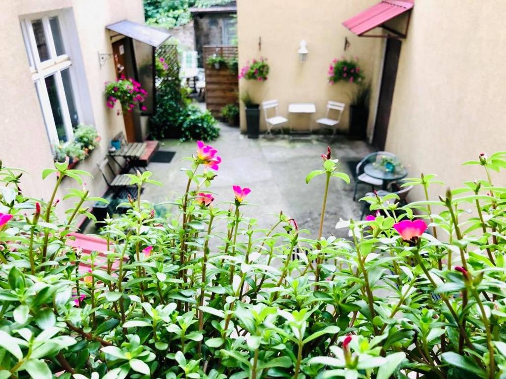 Apartament Starówka Łagiewniki - 15