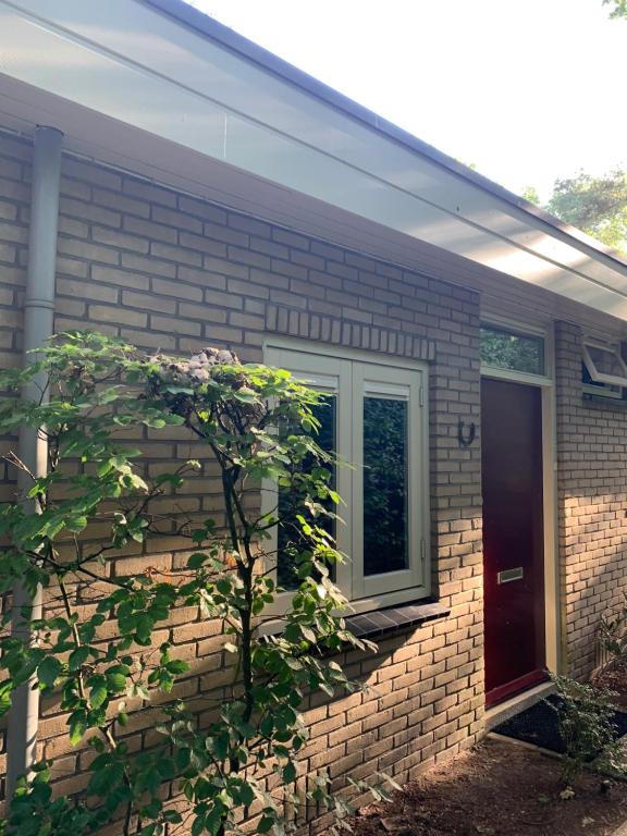 De Wollige Hooglander: in comfort middenin natuur
