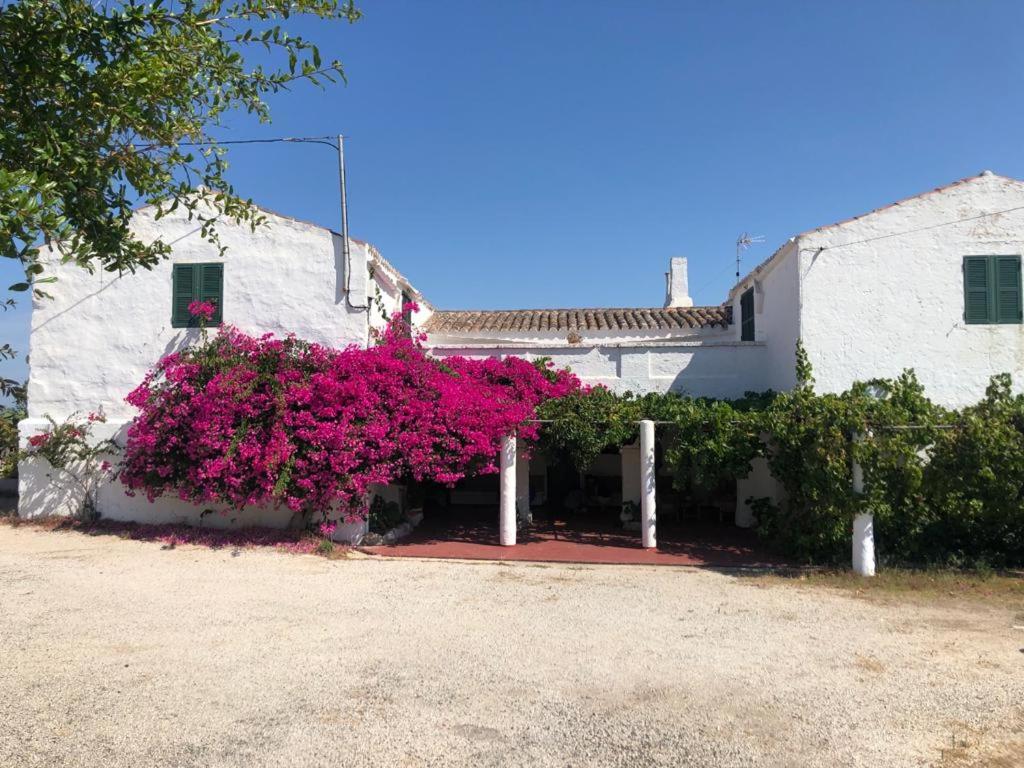 un bâtiment avec des fleurs roses sur son côté dans l'établissement Agroturisme Binisaid NOU, à Cala Galdana